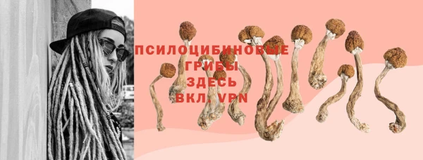 мдпв Баксан