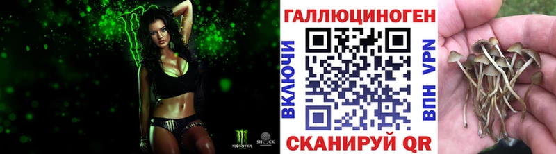 mega ссылки  Орлов  Псилоцибиновые грибы GOLDEN TEACHER 